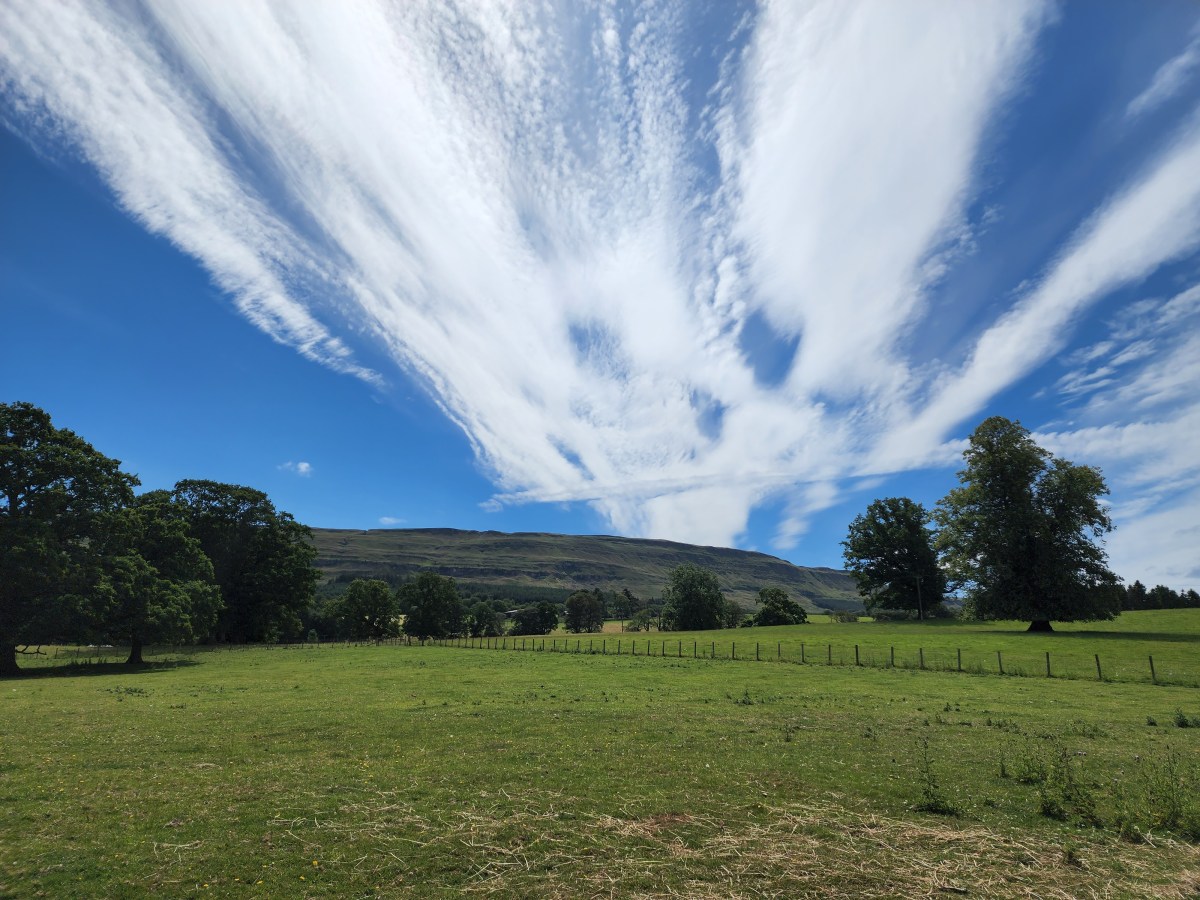 The lands of Leckie 1296 –&nbsp;1666